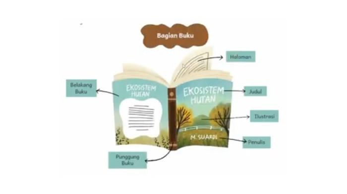 7 Contoh Soal Bahasa Indonesia Kelas 3 Tentang Bagian Bagian Buku yang Sering Keluar Ujian