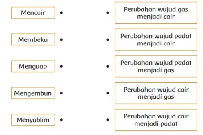 Kunci Jawaban Tema 1 Kelas 3 Halaman 90 91 Menjelajahi Materi